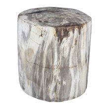 petrified wood
