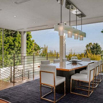 Beverly Hills Modern