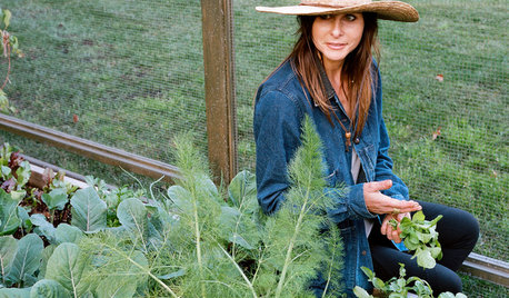 Advice on Canyon Farming From L.A.'s Vegetable Whisperer