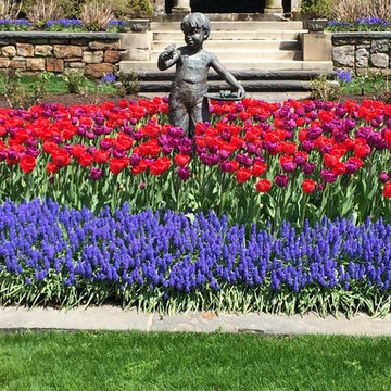 English Rose Garden in Connecticut
