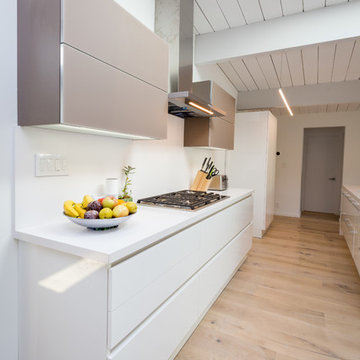 Palo Alto Eichler Kitchen Update