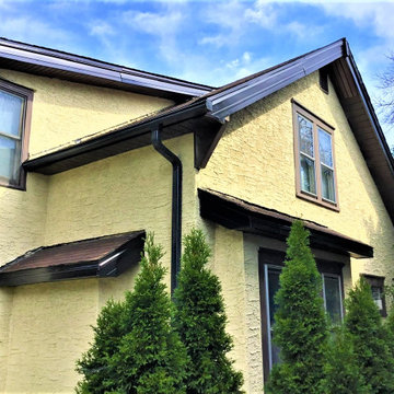 Tara's LeafGuard®️️️️️️ Brand Gutters Project in St. Paul, MN