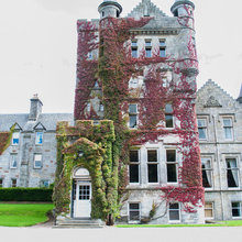 dream home //