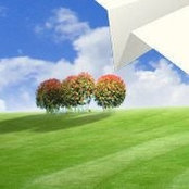 Daniel Coughlan's photo