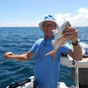 Tim Davidsons billede