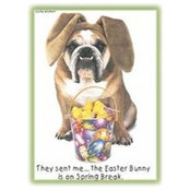 Marcella Quinonez's photo