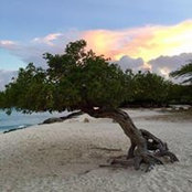 Sheila Moore's photo