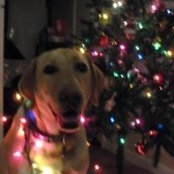 Allison Jolin's photo