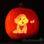 Lorie Miller's photo