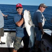 Chris Berg's photo