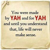 Ann Ferrell's photo