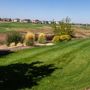 Rolling Green Lawn