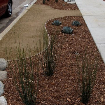 Edible Landscape and xeriscape