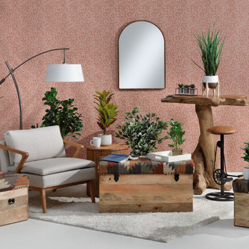 Styling Your Space Peach Fuzz: Pantone's 2024 Color of the Year