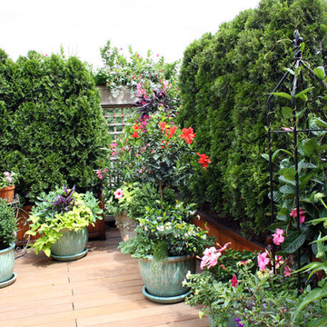 Roofdeck Container Garden