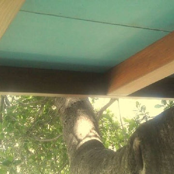 Redwood Temple Treehouse