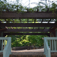 grape arbor