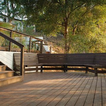 A Place to Enjoy the Forest- Back Yard