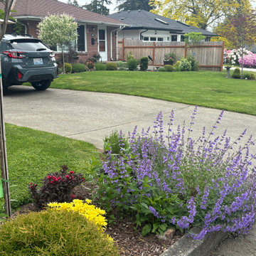Budget Front Yard in Fircrest