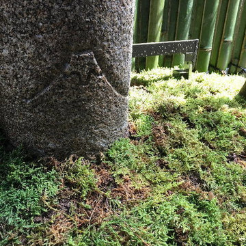 駿河屋様