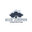Blue Juniper Construction LLC