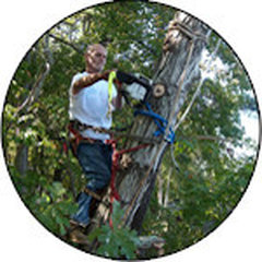 A Accurate & Economical Tree Experts