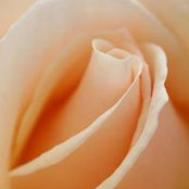 Kathe Pults's photo