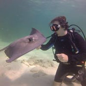 David Huber's photo