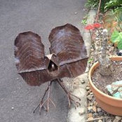 Wendy Walker's photo