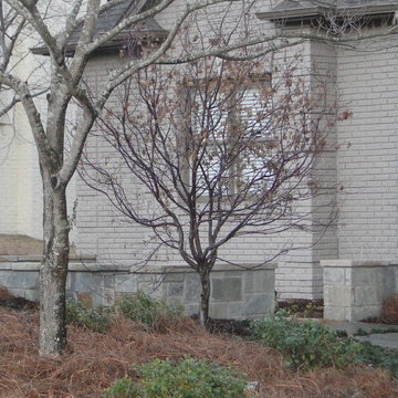 Foundational Planting