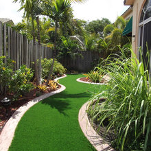 Backyard Turf