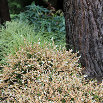 Contemporary Craftsman, Bainbridge Island, WA
