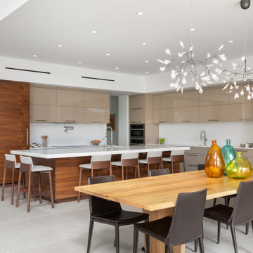 Bird Key Renovation