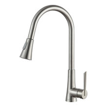 Kitchen Faucet