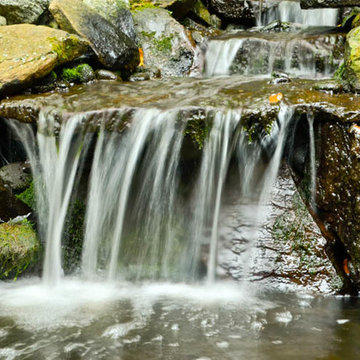Waterfall | Koi Pond | Thornwood NY