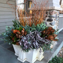 Plants