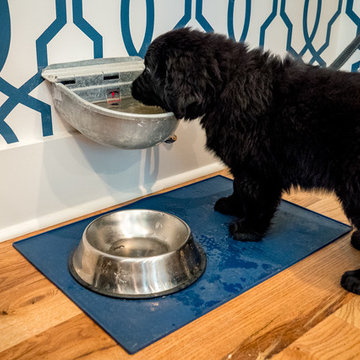 Laundry Room Dog Station