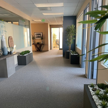 Contemporary Office