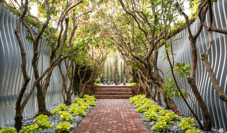 Illusions d'optique : Les jeux de miroirs transcendent le jardin