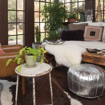 Shed The Eclectic Home