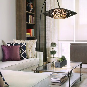 Fifth Avenue New York City Condominium