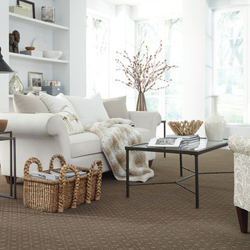 Living Room Scenes