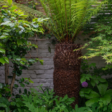 London Sanctuary Garden