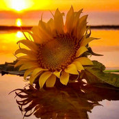 Foto von Alicia R Gonzalez