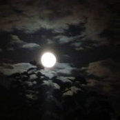Ebru Sönmezler's photo