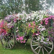 Robyn Wayling's photo