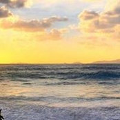 Odette Lehman's photo
