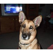 Debbie Gates's photo