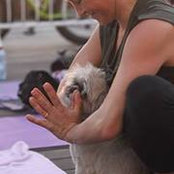 Foto de Sara Schatz