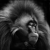 Dmitry Kuchev's photo